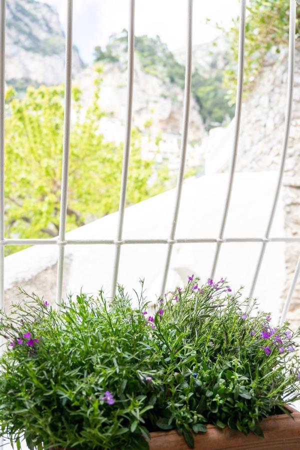 Mamma Mia Apartment Positano Exterior photo